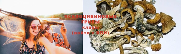 PSILOCYBIN Магадан