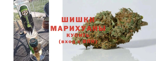 прущие грибы Майский