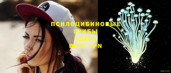 PSILOCYBIN Магадан