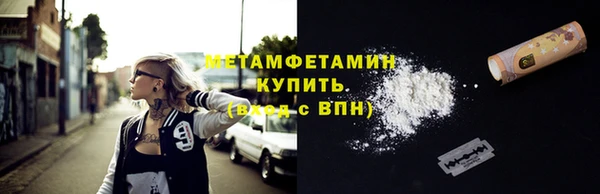 прущие грибы Майский