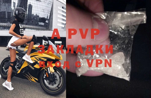 прущие грибы Майский