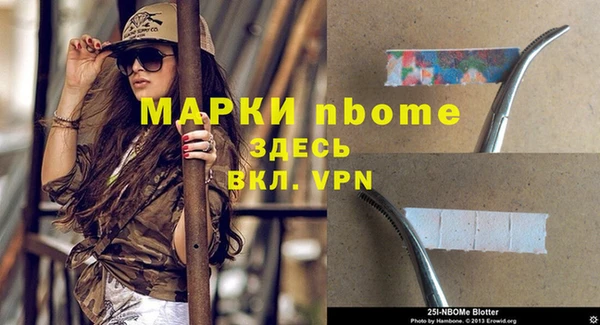 прущие грибы Майский